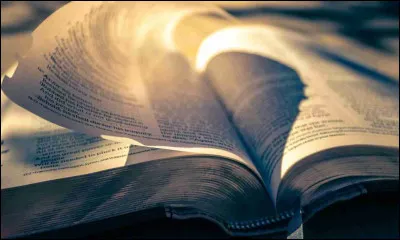 Qui est l'auteur de cette citation ? - "Il vaut mieux hasarder de sauver un coupable que de condamner un innocent" ?