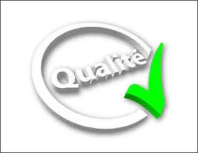 Quelle est la qualité qui te correspond le mieux ?