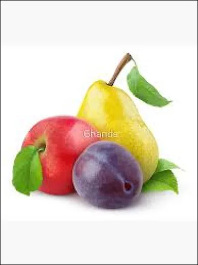 De quel fruit la reine-claude est-elle une variété ?