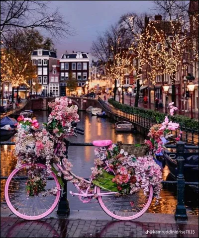 En 1982, Régine Deforges sortait son roman "La Bicyclette bleue''. Quel était le genre du roman ?