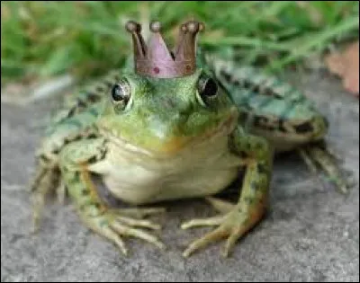 Dans les contes de fées, que doit-il se passer pour que l'apparence d'un prince charmant passe d'un crapaud (ou une grenouille) à prince ?