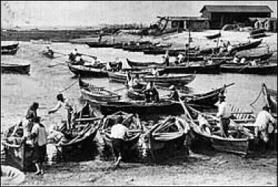 Qu'est-ce qu'une pinasse ?