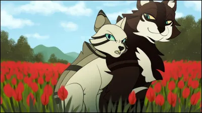 Je suis née de l'union : Aile Blanche et Bois de Frêne, ma sœur est Aile de Colombe je me suis entraînée à la forêt sombre et maintenant je suis l'actuelle lieutenante du Clan du Tonnerre.
Qui suis-je ?