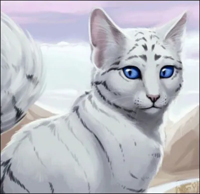 Je suis née de deux chats de clans différents.
Mon frère s'appelle Pelage d'Orage 
Ma mère est Rivière d'Argent et mon père Plume Grise.
Qui suis-je ?