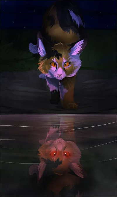 Je suis de la forêt sombre, j'ai aimé un chat d'un autre clan. J'ai eu 2 fils et une fille mais ils se sont noyés.
Qui suis-je ?