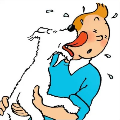 Le nom du fidèle chien Milou n'est pas le fruit du hasard. À quoi correspond ce nom dans la jeunesse d'Hergé ?