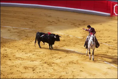 De quel pays est originaire la corrida ?