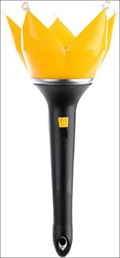 À quel groupe est ce lightstick ?