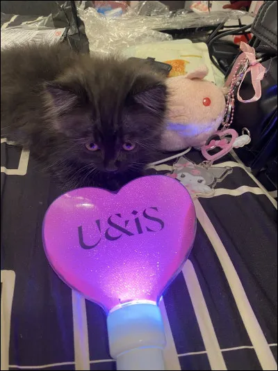 À qui appartient ce lightstick ?