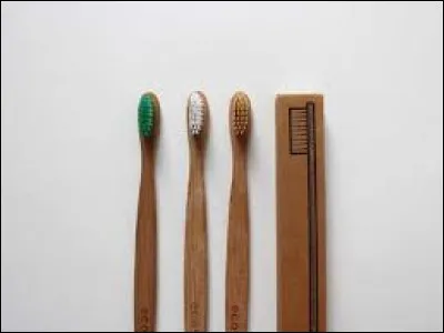 Dans quel pays a été inventée la brosse à dents au XVe siècle ?