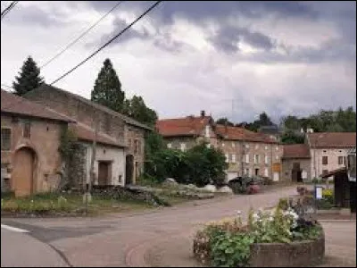 Nous sommes en Lorraine , à Neufmaisons. Village du Lunévillois, au pied des Vosges, il se situe dans le département ...