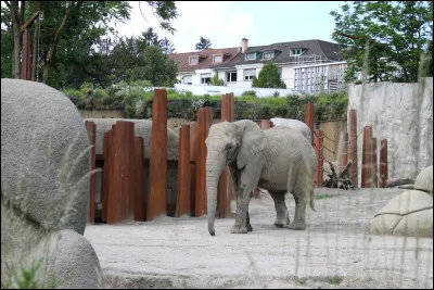 Dans quel pays se situe le zoo de Bâle ?