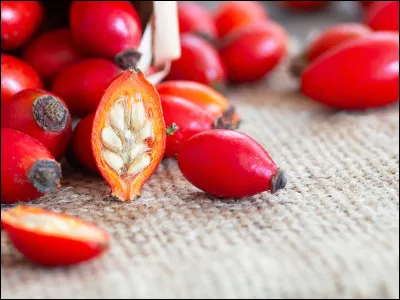 Par quel nom vulgaire désigne-t-on le fruit de l'églantier ?