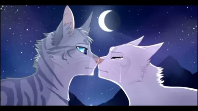 Aimerais-tu avoir un compagnon ?