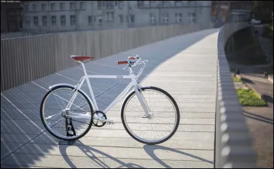 Quelle capitale a plus de vélos que dhabitants ?