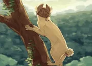 Test Quelle serait ta vie de chat ?