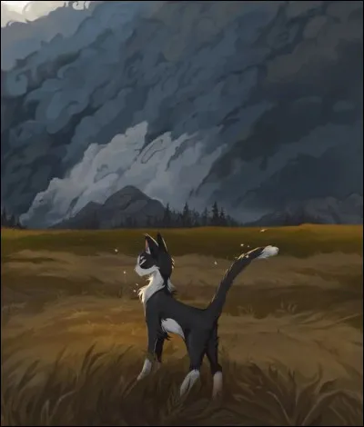 Quel nom préfères-u ?