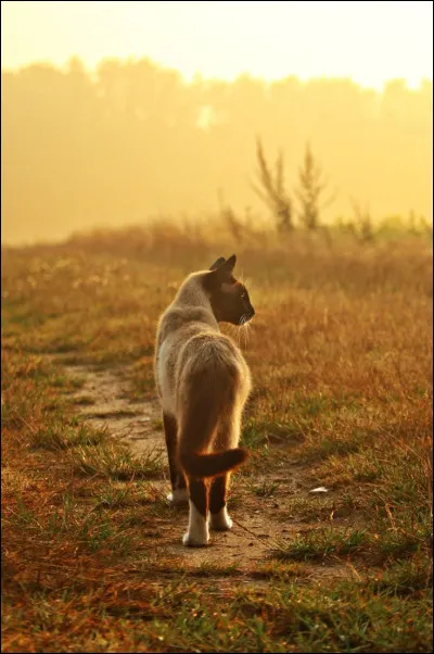 Quel est ton meilleur atout ?