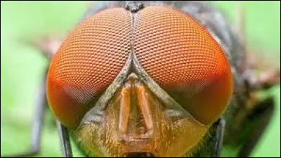 A quel parti politique Savine Moucheron appartient-elle ?