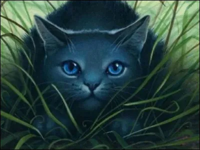 Quel chat lui a révélé un secret ?