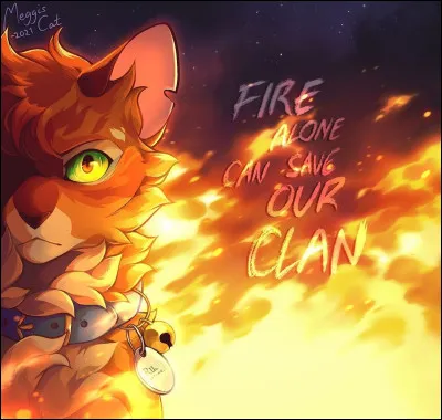 Ok continuons ! Quels sont les noms successifs d'Étoile de Feu ?