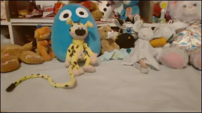 Quel est cet animal ?