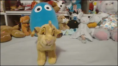 Qui est-ce ?