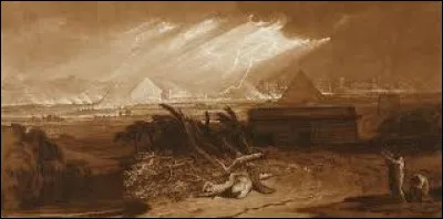 Quels animaux sont retrouvés partout à l'issue de la deuxième plaie d'Egypte ?