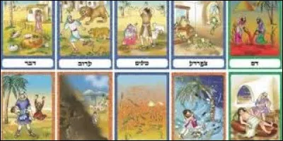 Par quels soucis médicaux les hommes sont-ils atteints lors de la sixième plaie d'Egypte ?