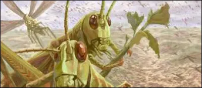 Quels animaux font de la vie des hommes un enfer lors de la huitième plaie d'Egypte ?