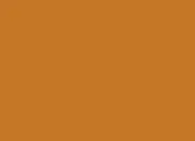 Test La couleur orange te convient-elle ?