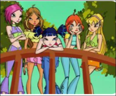 Parmi ces animaux, lequel préfères-tu ?