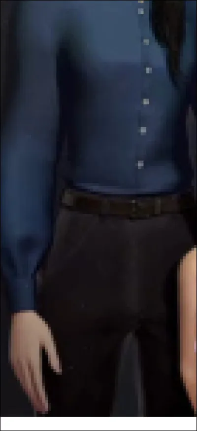 À qui est cette tenue ?