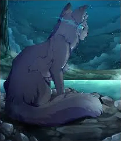 Quel est son nom de chaton ?