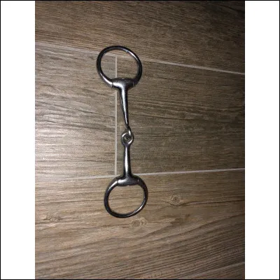 Comment se nomme ce mors ?