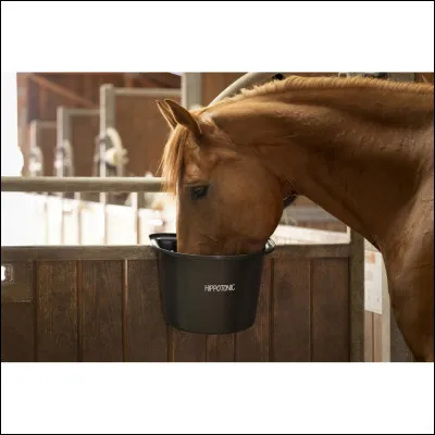 La mangeoire doit être...