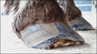 Que faire dans cette situation ?