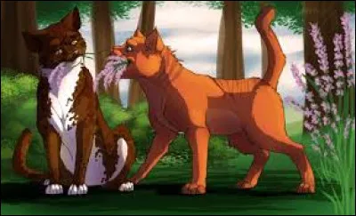 Va-t-elle se blesser à la patte une deuxième fois ?