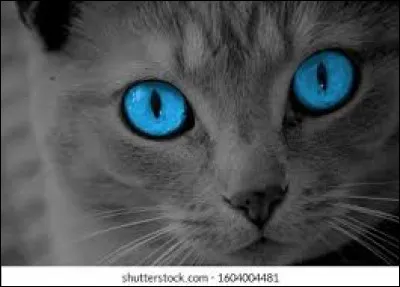 Quel est son nom d'apprentie ?