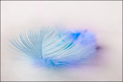 Qui est son compagnon ?