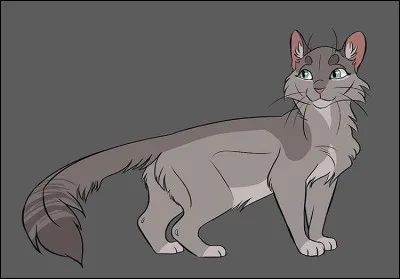 Pendant sa vie, dans quels clans Aile de Colombe a-t-elle vécu ?