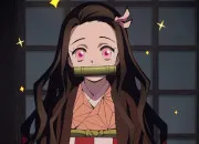 Test Une image de Nezuko (avec un pillier)
