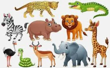 Quiz Animaux