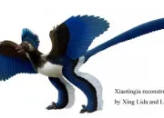 Quiz Les dinosaures