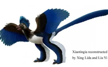 Quiz Dinosaures