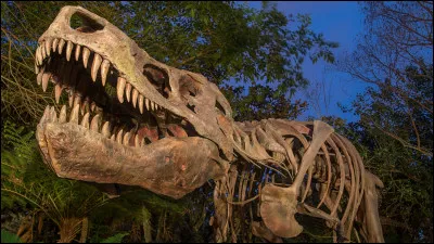 Selon les scientifiques, quelle est la principale cause de l'extinction des dinosaures ?