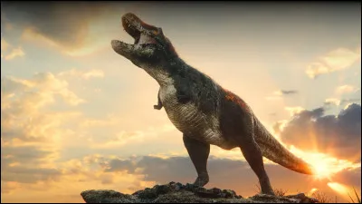 Pendant quelle période vivait le tyrannosaure ?
