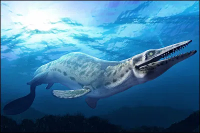 Quel était le régime alimentaire du mosasaure ?