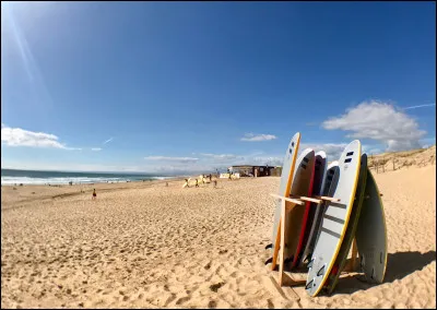 Où est né le surf moderne tel quon le connaît aujourdhui ?