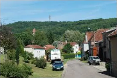 Petit village Haut-Marnais de 85 habitants, sur les bords de la Petite Amance, Coiffy-le-Bas se situe en région ...